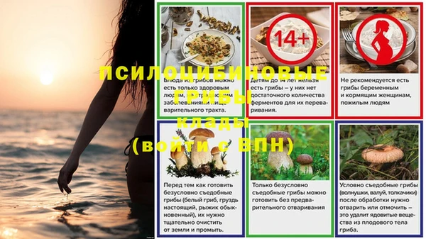 сатива Алзамай