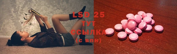 сатива Алзамай