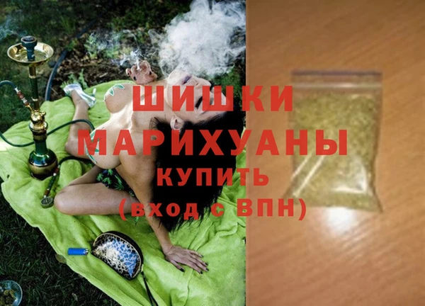 сатива Алзамай