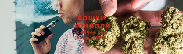 spice Алексин